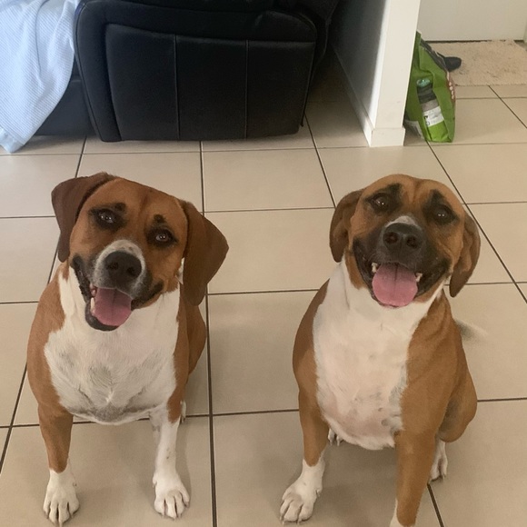 Meet your Posher, Kazza - Picture 1 of 1